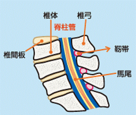 �Ғ��ǋ���Ɋ���