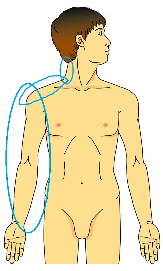 ��r�_�o�ɂɊ���