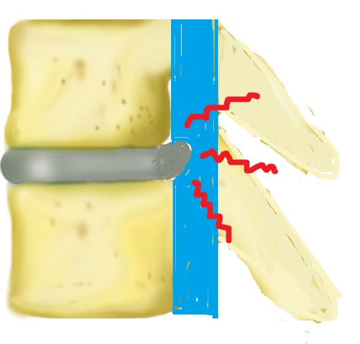 ��Ńw���j�A�E����Ɋ���