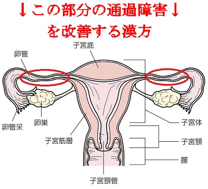 �s�D�ǎ��ÂɊ���