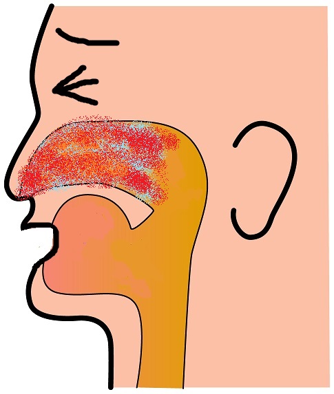 �A�����M�[���@���ɐV���̊����a�@