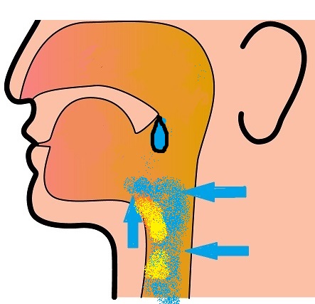 ��@�R�Ɋ���