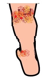 �Ԃ����̎��]�Ɋ���